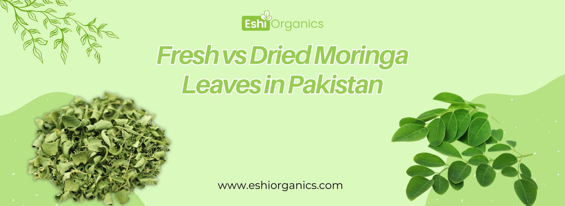 Dried Moringa Leaves in Pakistan