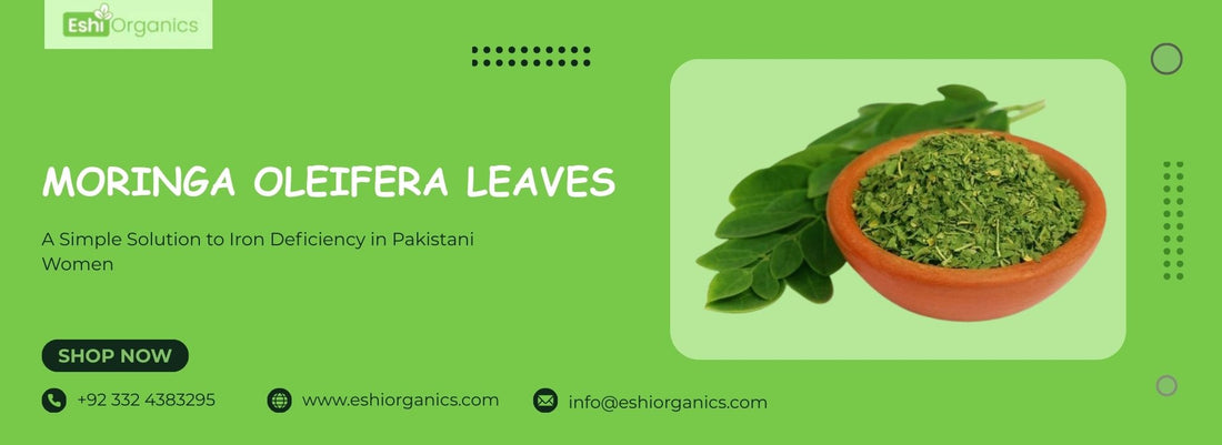 Moringa Oleifera Leaves