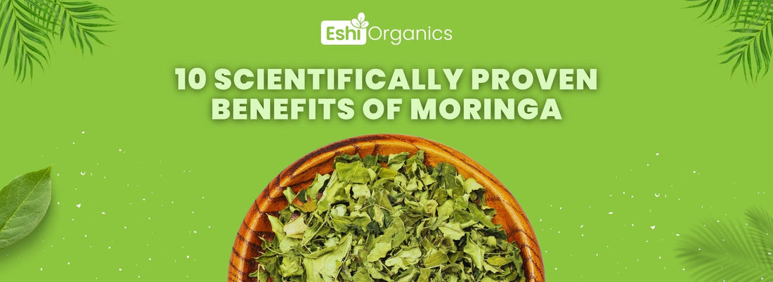 10 Scientifically-Proven Powerful Benefits of Moringa Oleifera